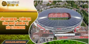 Sân BayArena - Thánh Địa Công Nghệ Và Niềm Tự Hào Leverkusen