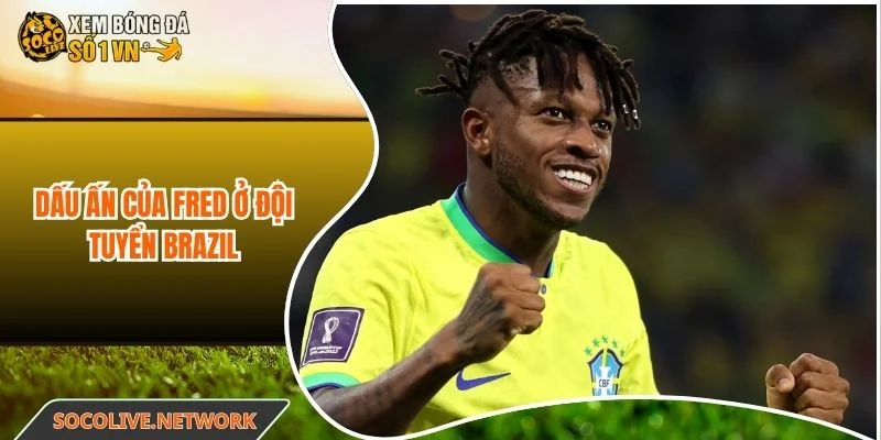Vai trò của Fred ở đội tuyển Brazil qua các giải đấu lớn